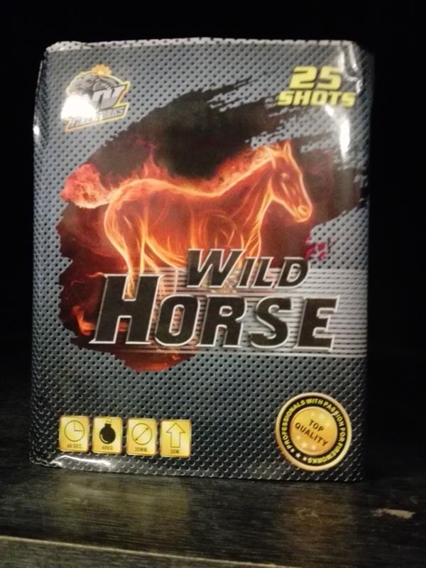 WILD HORSE