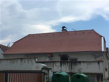 Rekonstrukce střechy - Dub u Prachatic
